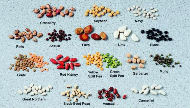 17 different types of legumes-good meal for a diabetic