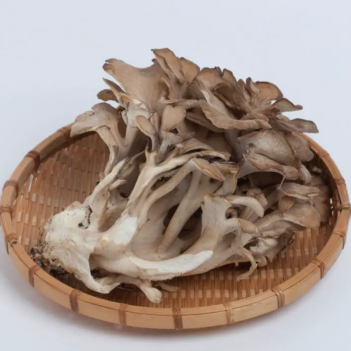 maitake mushrooms 