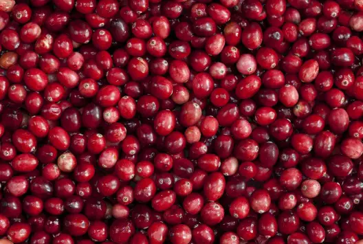 red cranberries