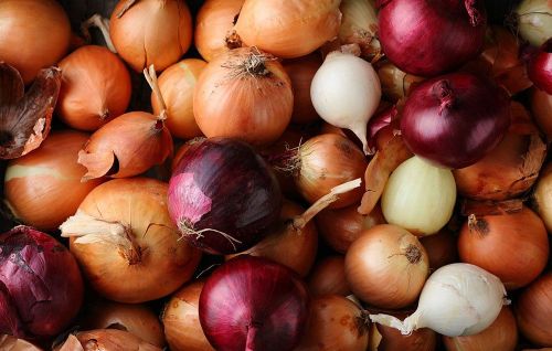 pile of red, white, and yellow onions for fajitas 