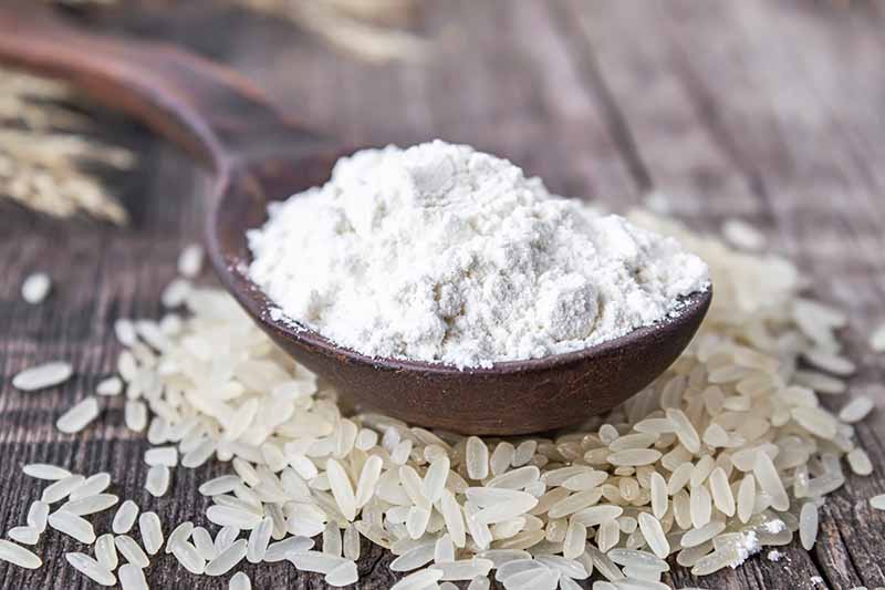 rice flour dairy-free flour