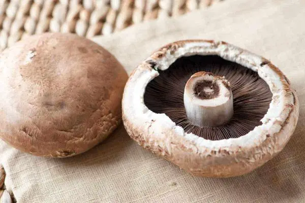 two Portobello Mushrooms
