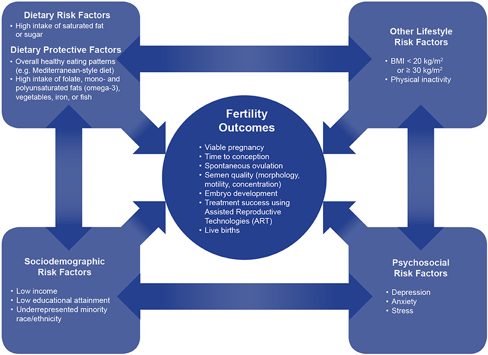 Foods and Lifestyle Factors That May Impact Fertility