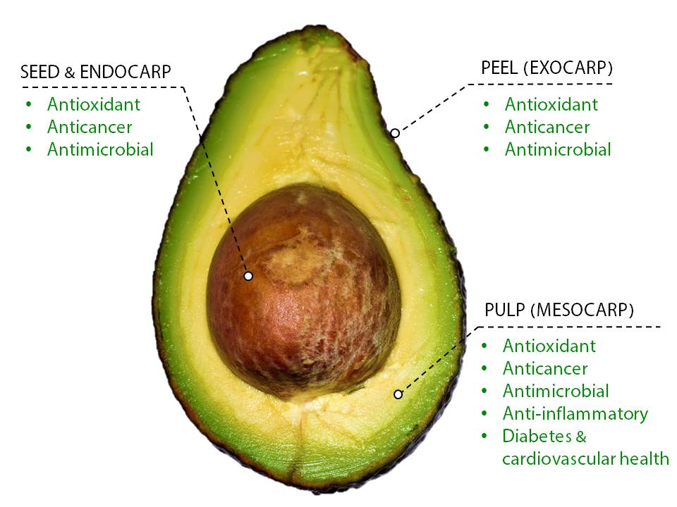 Studies on Avocado