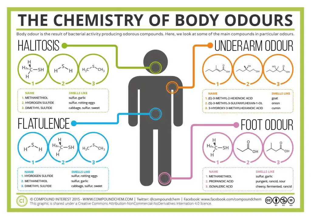 The Science Behind Body Odor