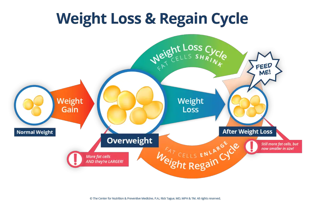 The Role of Fat in Weight Gain
